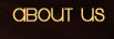 (About Us)